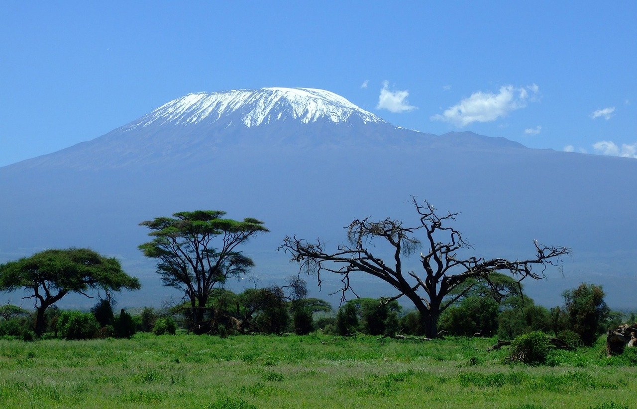 Tanzania Lukani Losaa Estate AA - 500g